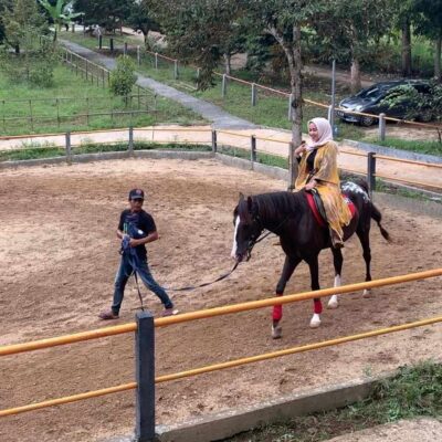 Lembah Durian - @Lembah_Durian_Farm_Stable