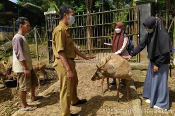 Taman Rusa Tahura WAR - @kphktahurawanabdulrachman